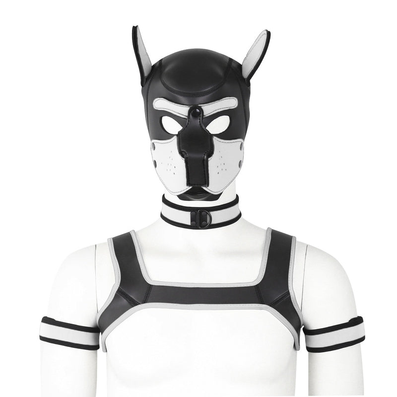 Dog Bondage Set With Restraints Hood Chest Belt Collar Arm Band For Pup Role Play