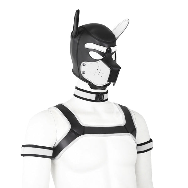 Dog Bondage Set With Restraints Hood Chest Belt Collar Arm Band For Pup Role Play